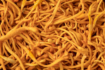 Cordyceps