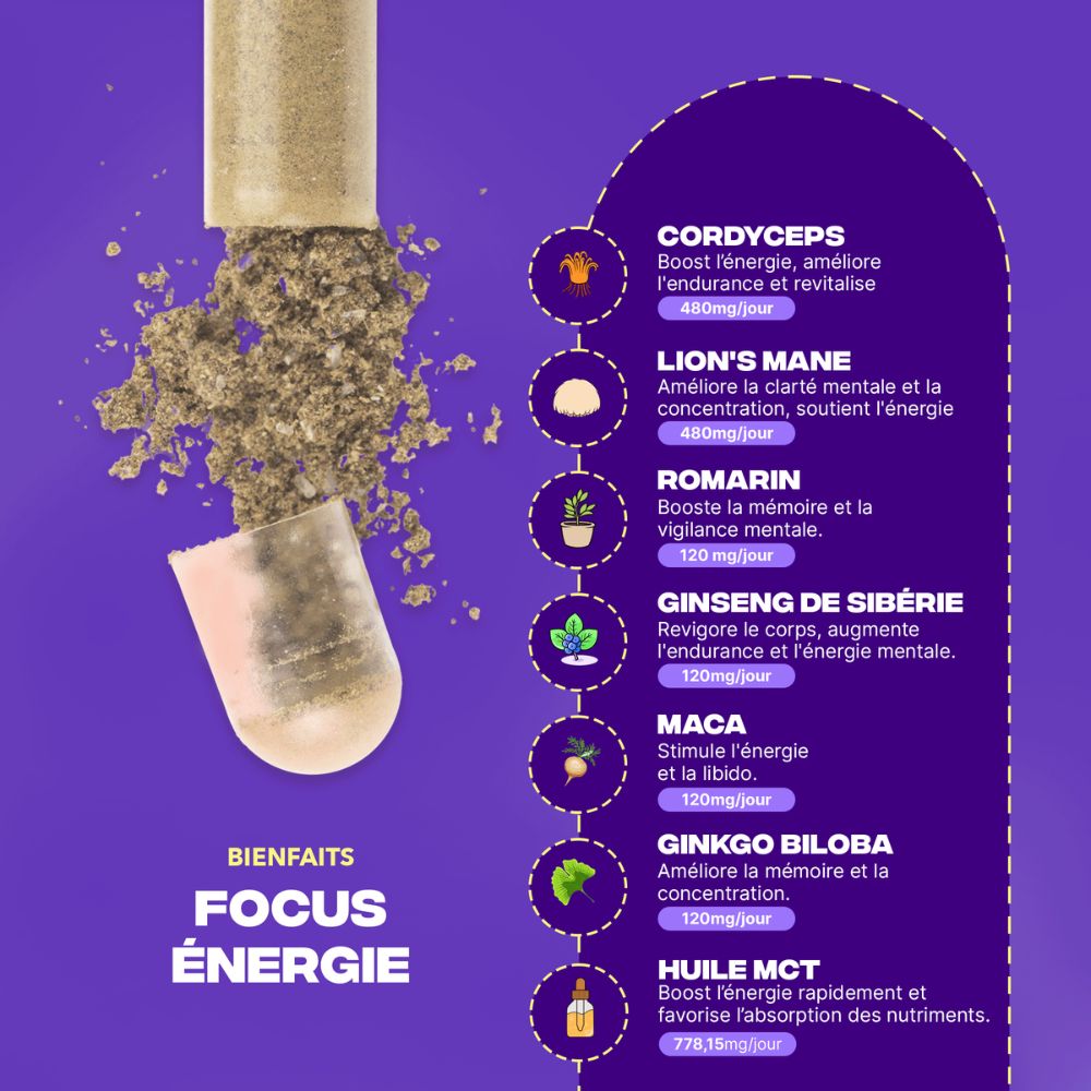 Entrepreneur Pack - Image 2