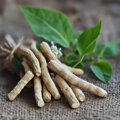ASHWAGANDHA