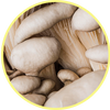 Mushroom icon