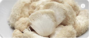 Lion's Mane