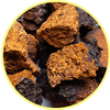 Mushroom icon