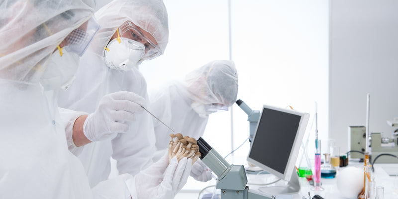 Plus de 91 études scientifiques confirment leur efficacité.