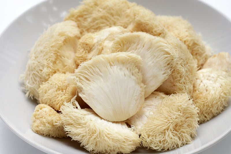 🧠 Lion’s Mane
