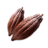 Cacao