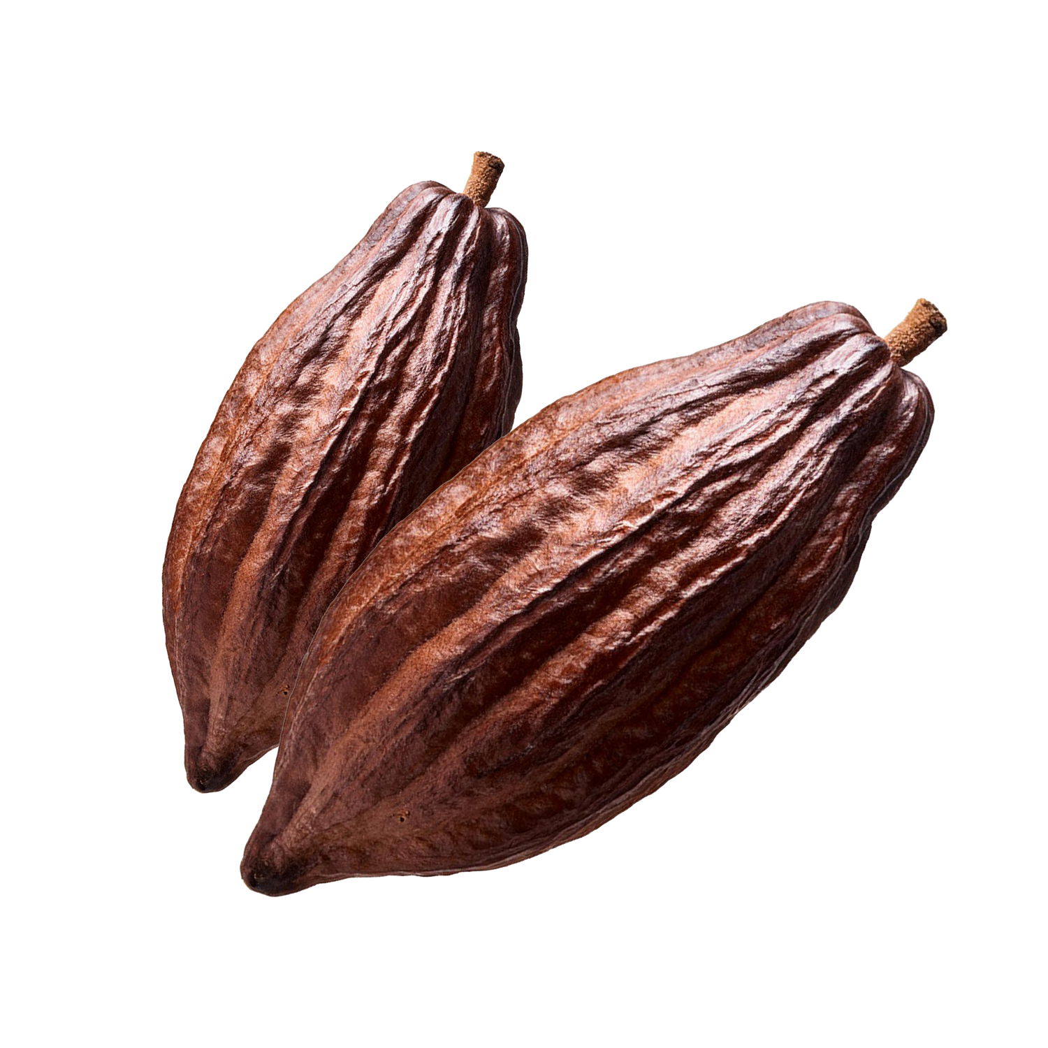 Cacao cru (1307 mg)