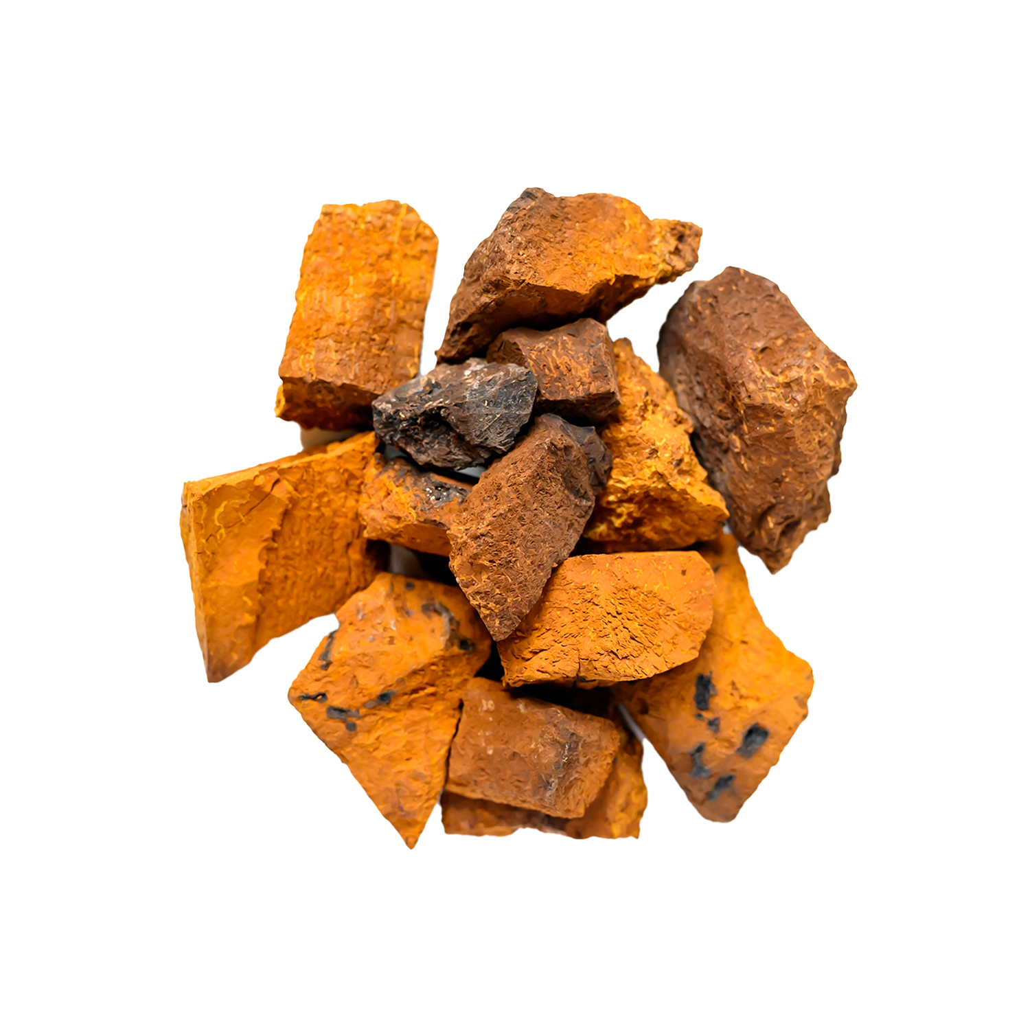 Chaga (1000 mg)