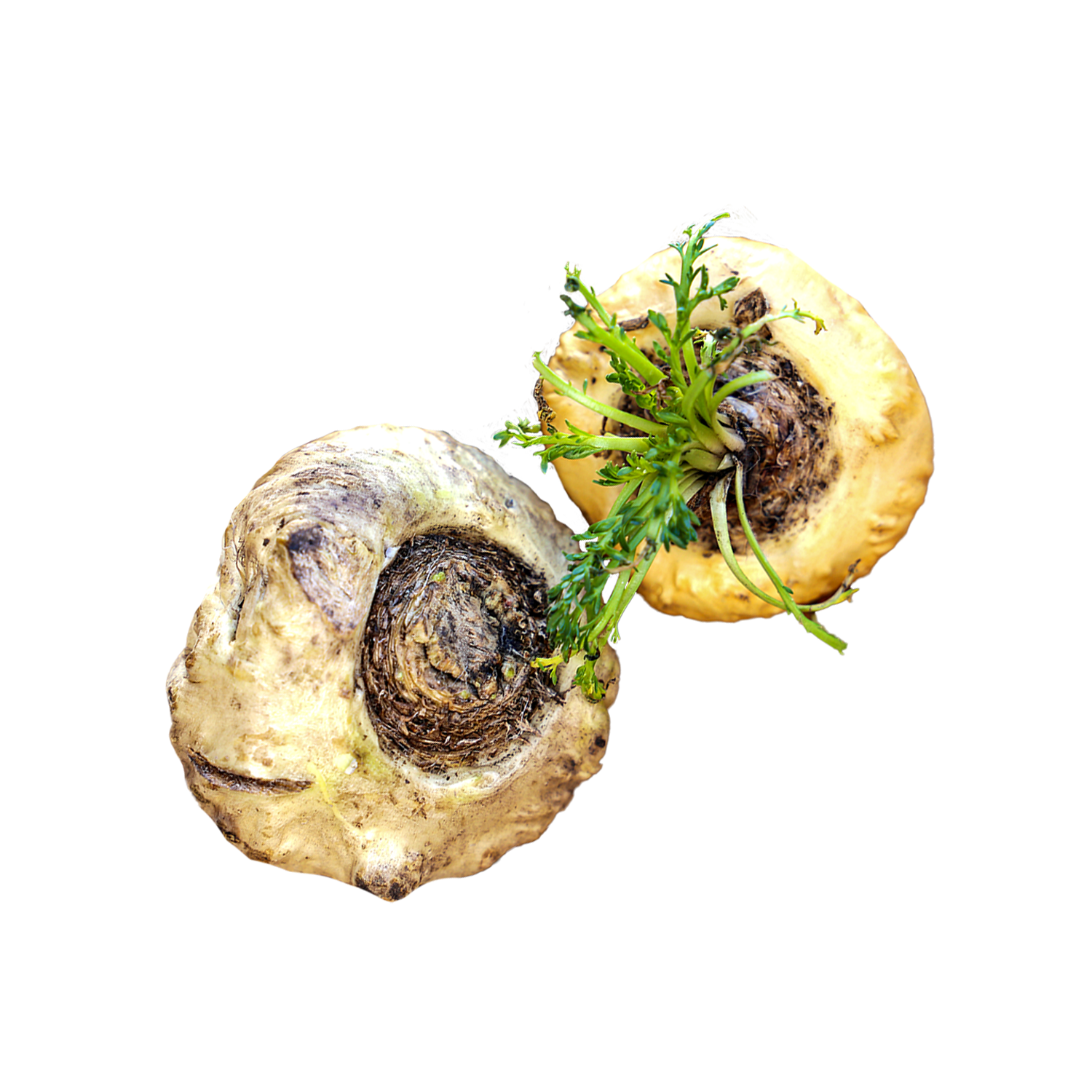 Maca (120 mg)