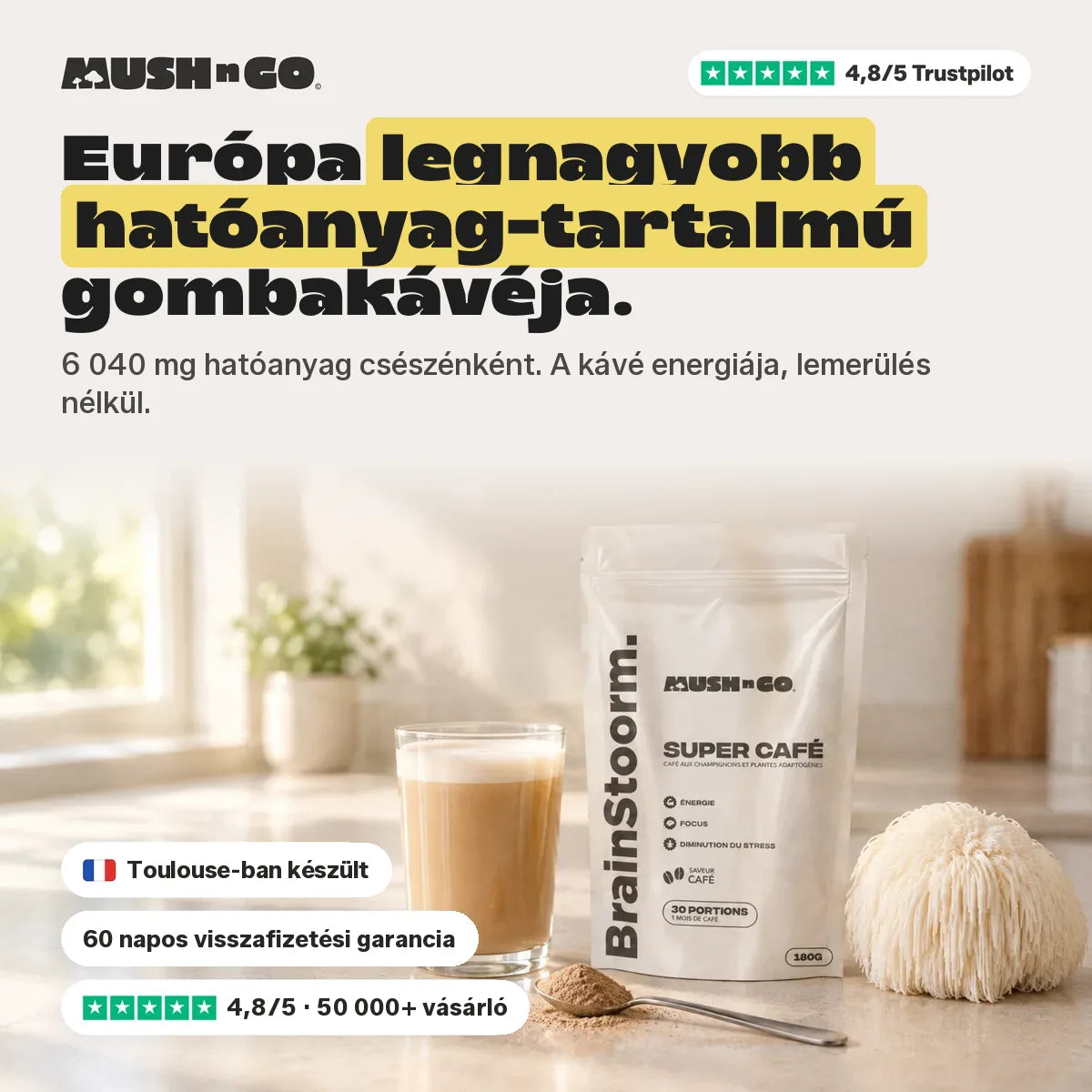 Brainstoorm Café, a legerősebben adagolt gombakávé Európából