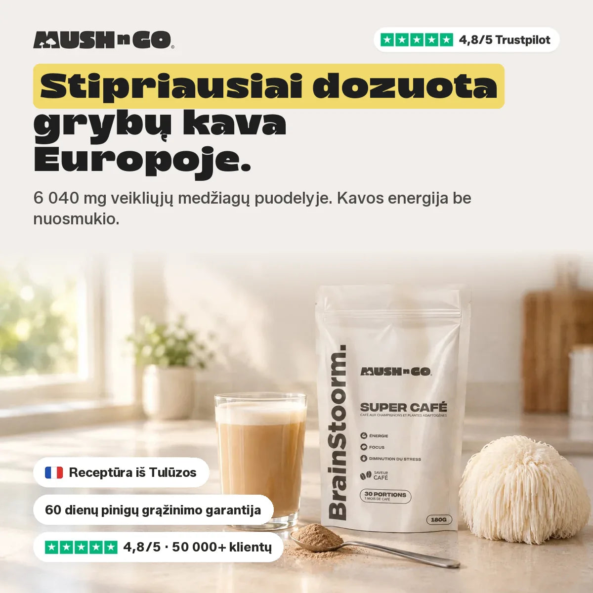 Brainstoorm Café – koncentruočiausia grybų kava Europoje