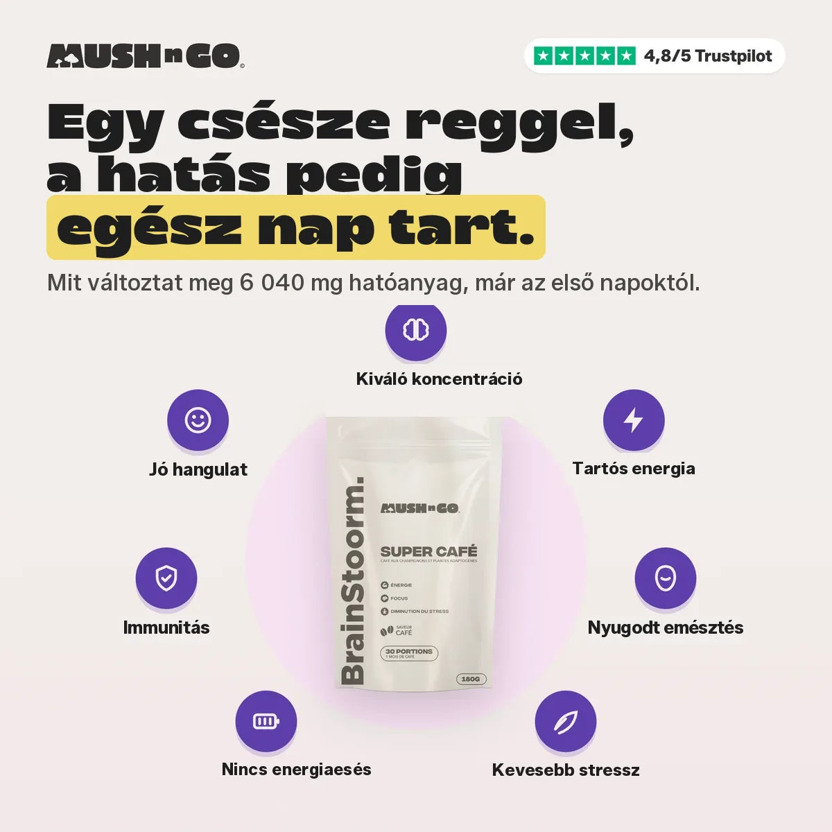 Egy csésze reggel, hatás egész nap