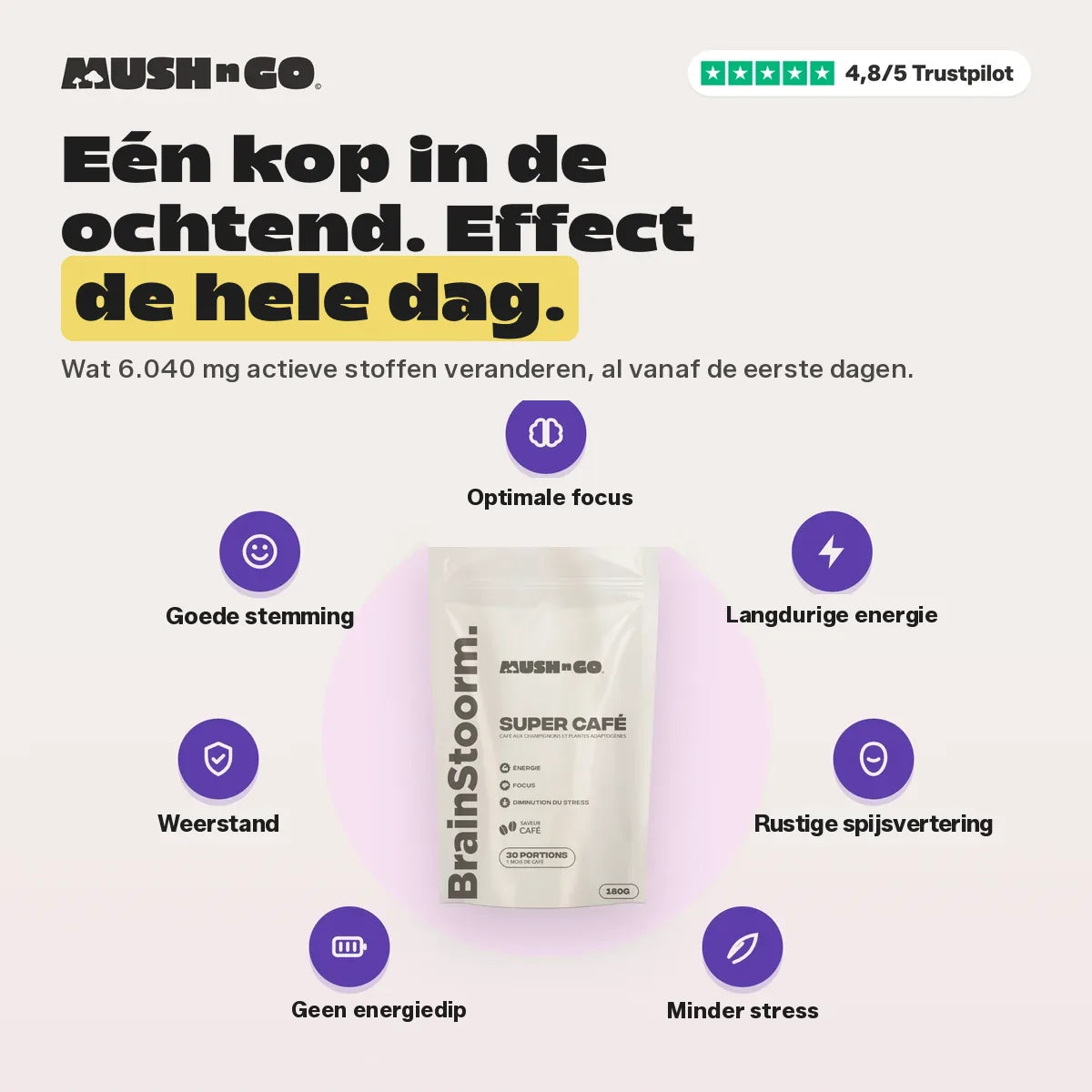 Eén kop in de ochtend, de hele dag effect