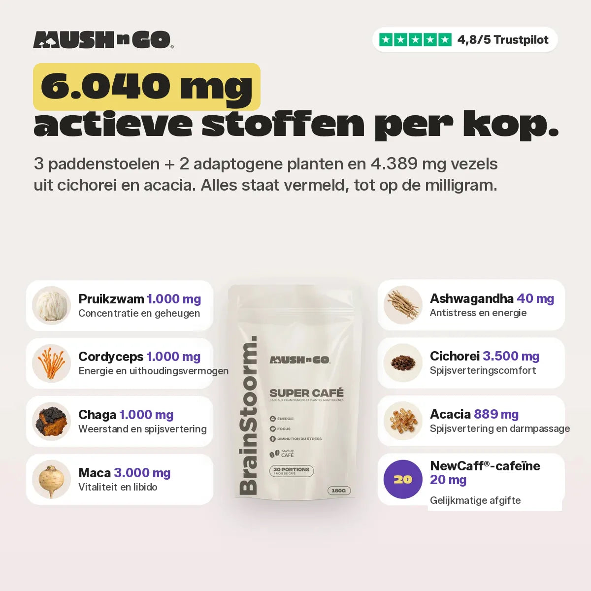 6.040 mg actieve stoffen per kop, ingrediënt voor ingrediënt