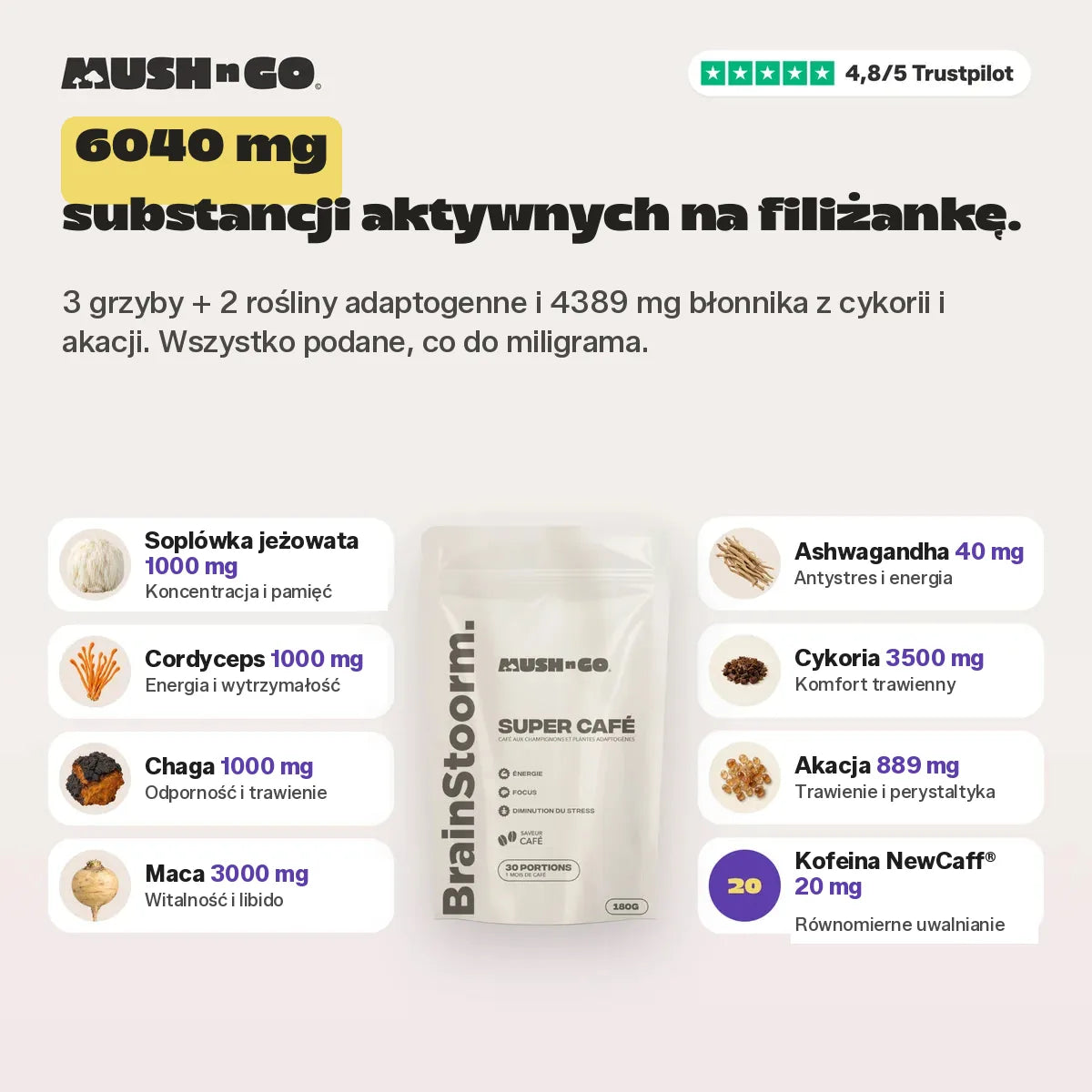 6040 mg substancji czynnych na filiżankę, składnik po składniku