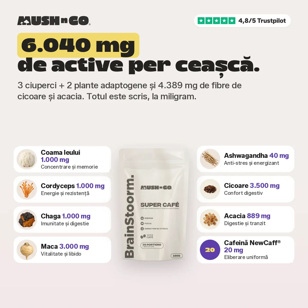 6.040 mg de principii active per ceașcă, ingredient cu ingredient