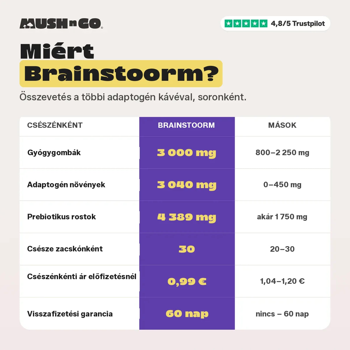 Miért a Brainstoorm, sorról sorra