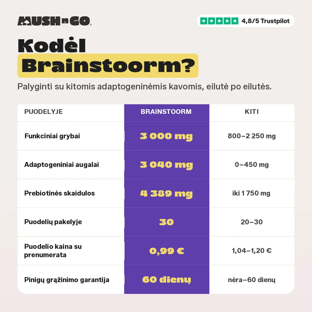 Kodėl „Brainstoorm“ – eilutė po eilutės