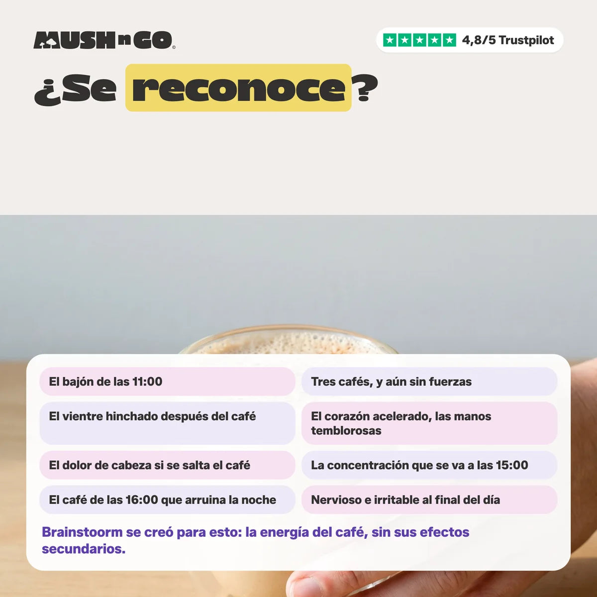 ¿Se reconoce?
