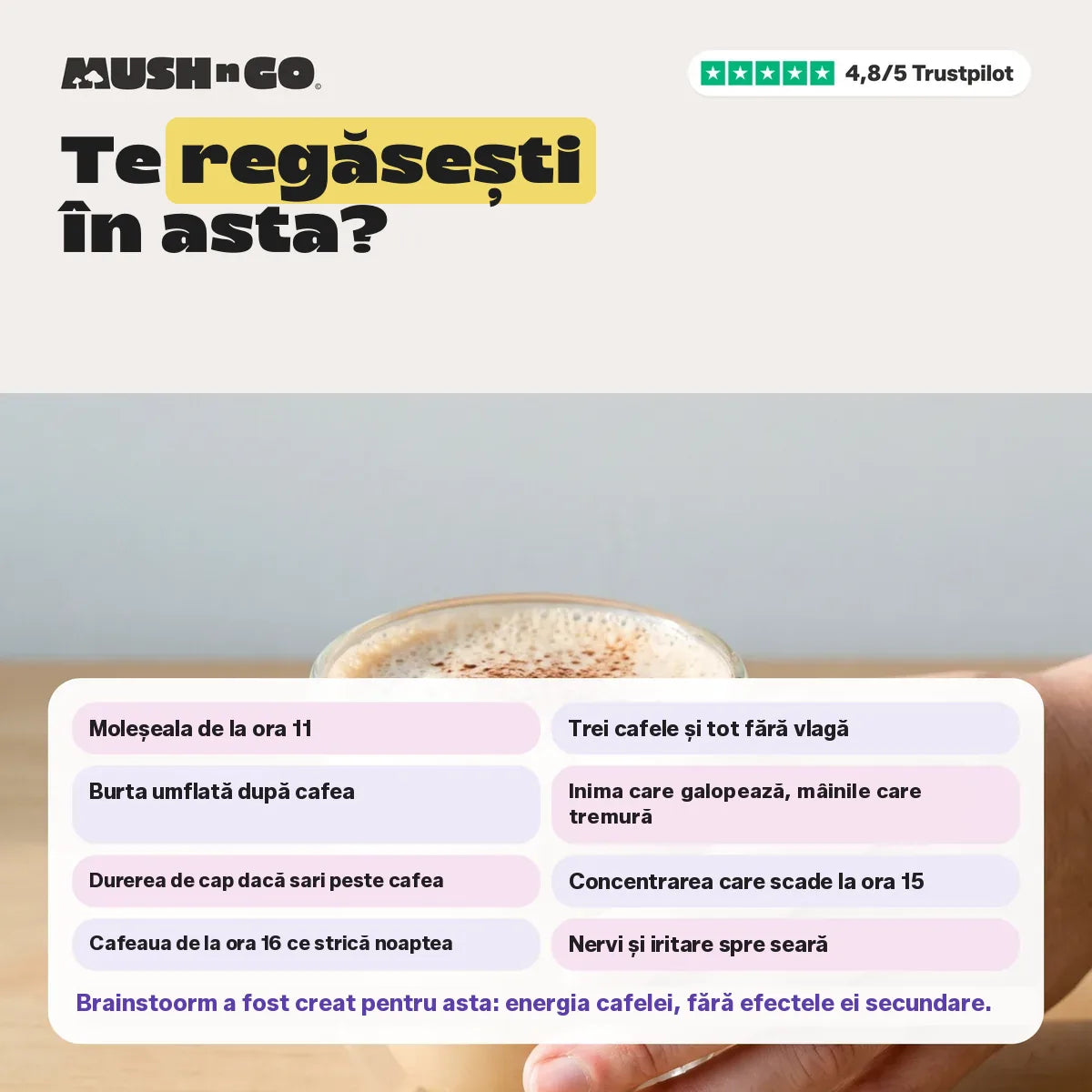 Te regăsești?