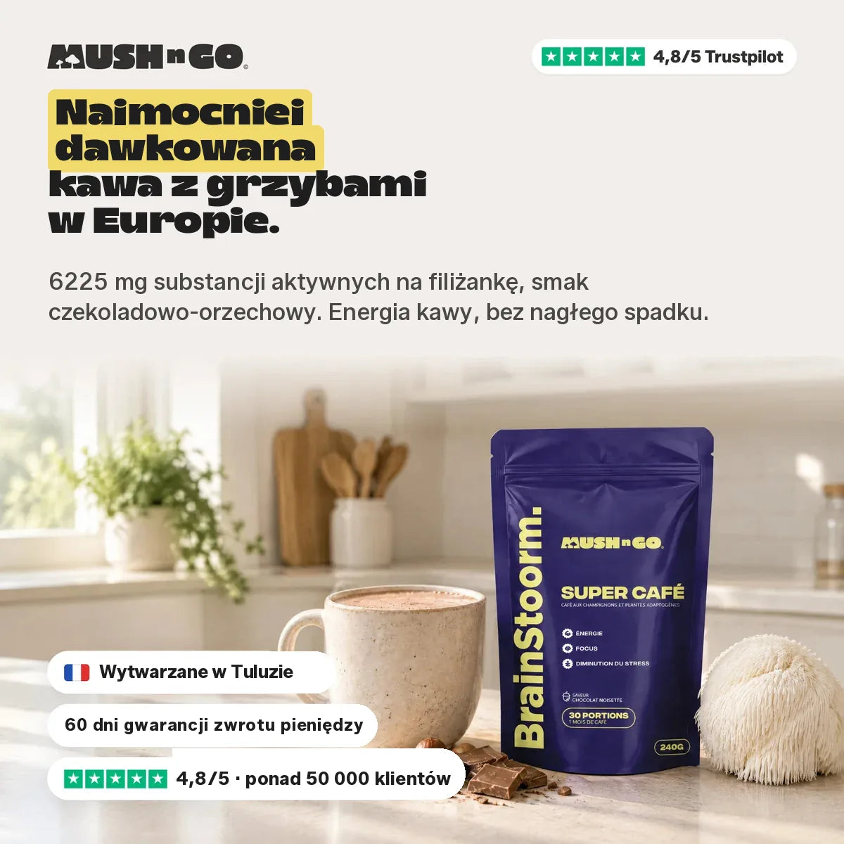 Brainstoorm Chocolat, najmocniej dozowana kawa z grzybami w Europie