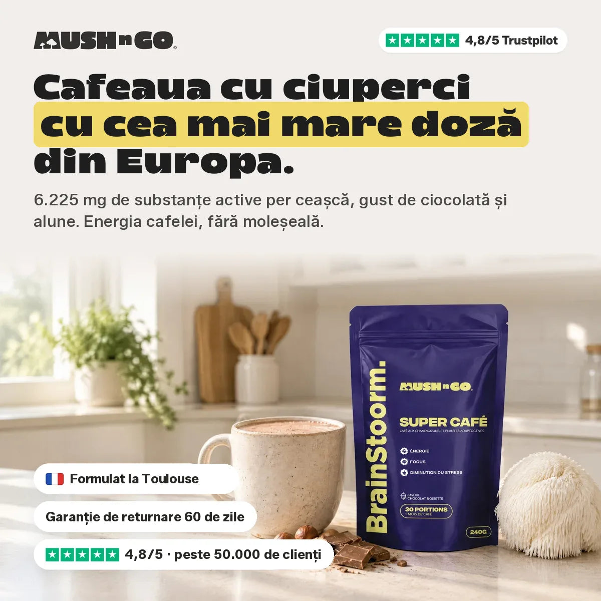 Brainstoorm Chocolat, cea mai concentrată cafea cu ciuperci din Europa