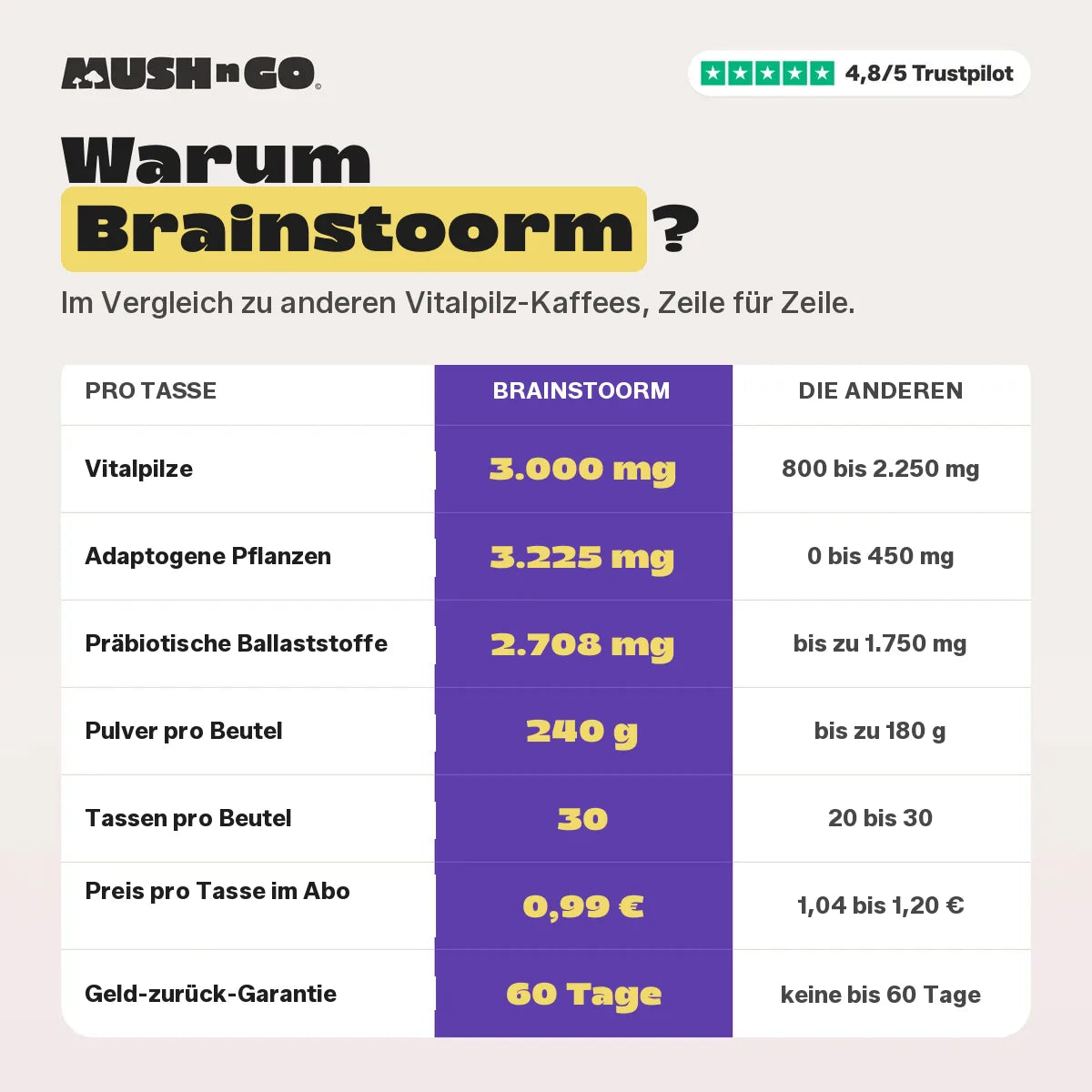 Warum Brainstoorm, Zeile für Zeile