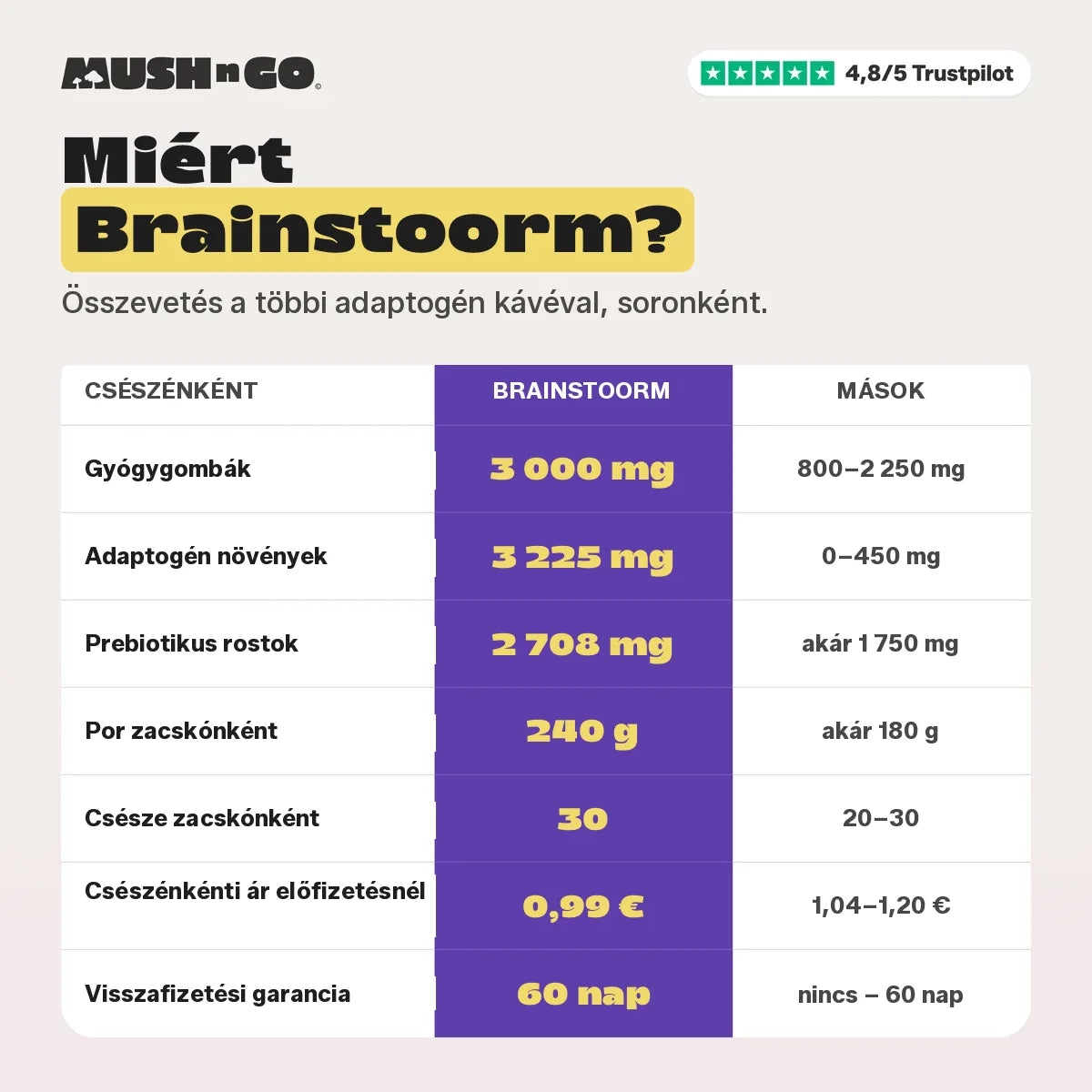 Miért a Brainstoorm, sorról sorra
