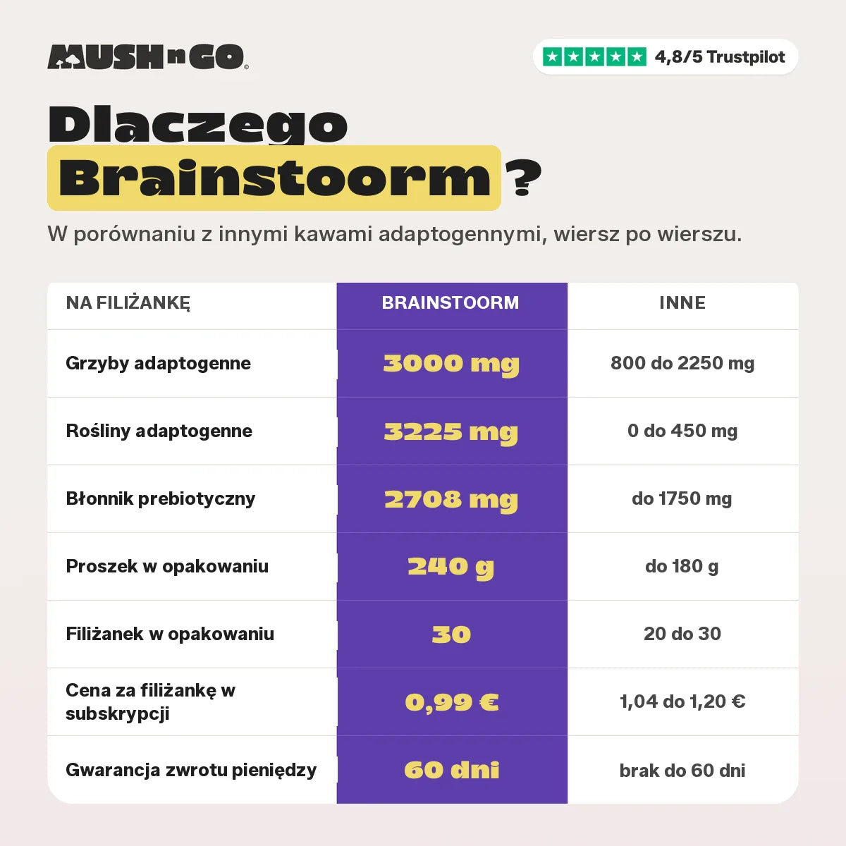 Dlaczego Brainstoorm, punkt po punkcie