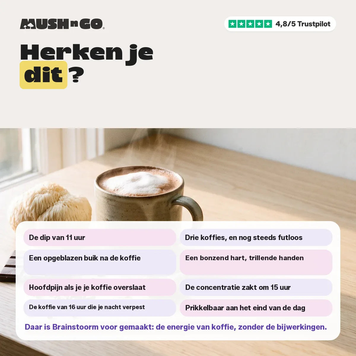Herkent u zich hierin?