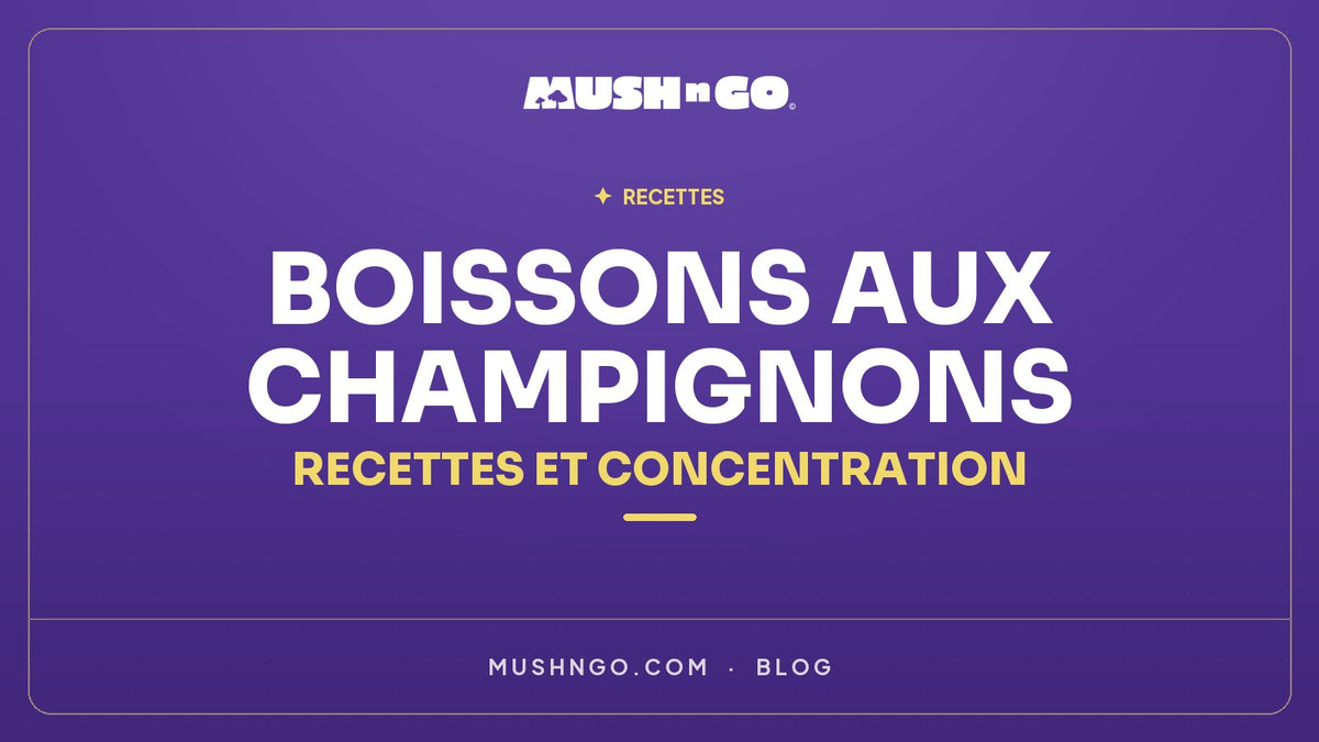 Boisson aux champignons et plantes adaptogènes : recettes, mode d’emploi & effets sur la concentration