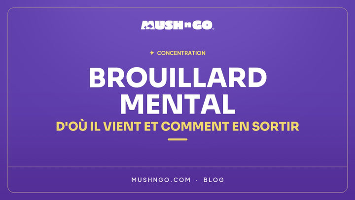 Brouillard mental : d'où il vient et comment en sortir