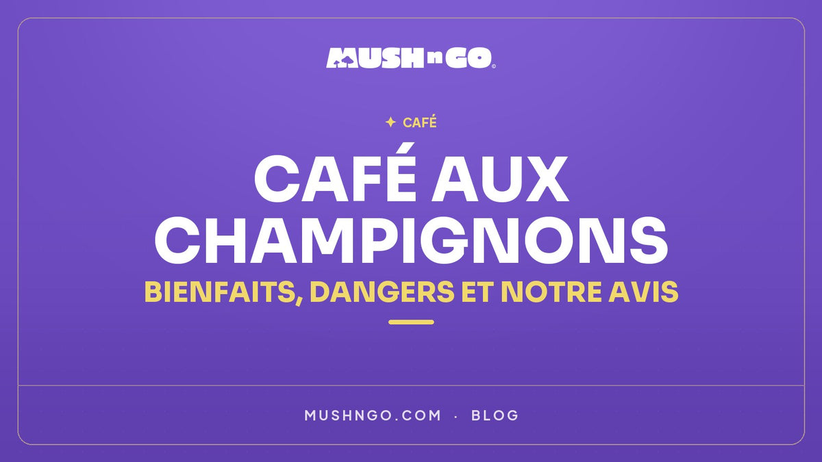 Cafe aux Champignons : Bienfaits, Dangers et Notre Avis Honnete