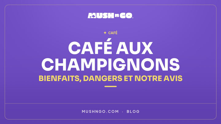 Cafe aux Champignons : Bienfaits, Dangers et Notre Avis Honnete