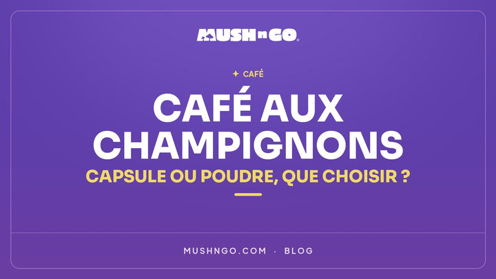 Café aux champignons en capsule ou en poudre : que choisir ?