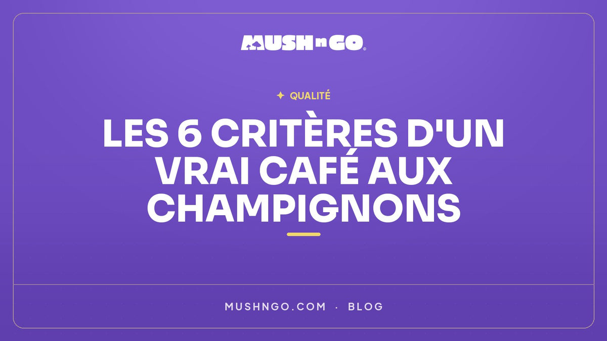 Café aux champignons : les 6 critères qui séparent un vrai produit d'une arnaque