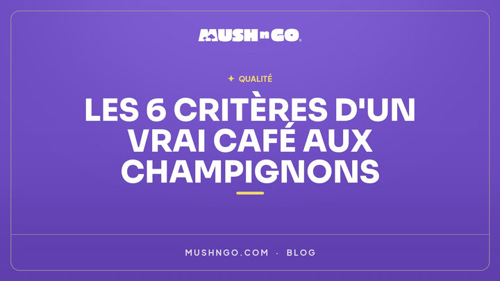 Café aux champignons : les 6 critères qui séparent un vrai produit d'une arnaque