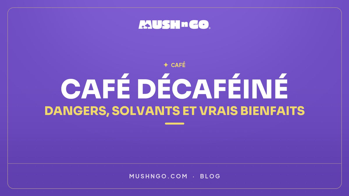 Café décaféiné : dangers, solvants et vrais bienfaits