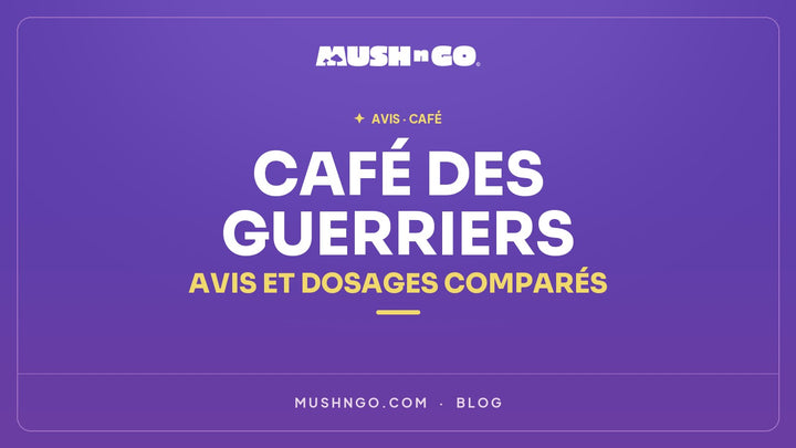 Café des Guerriers : avis, composition et dosages comparés