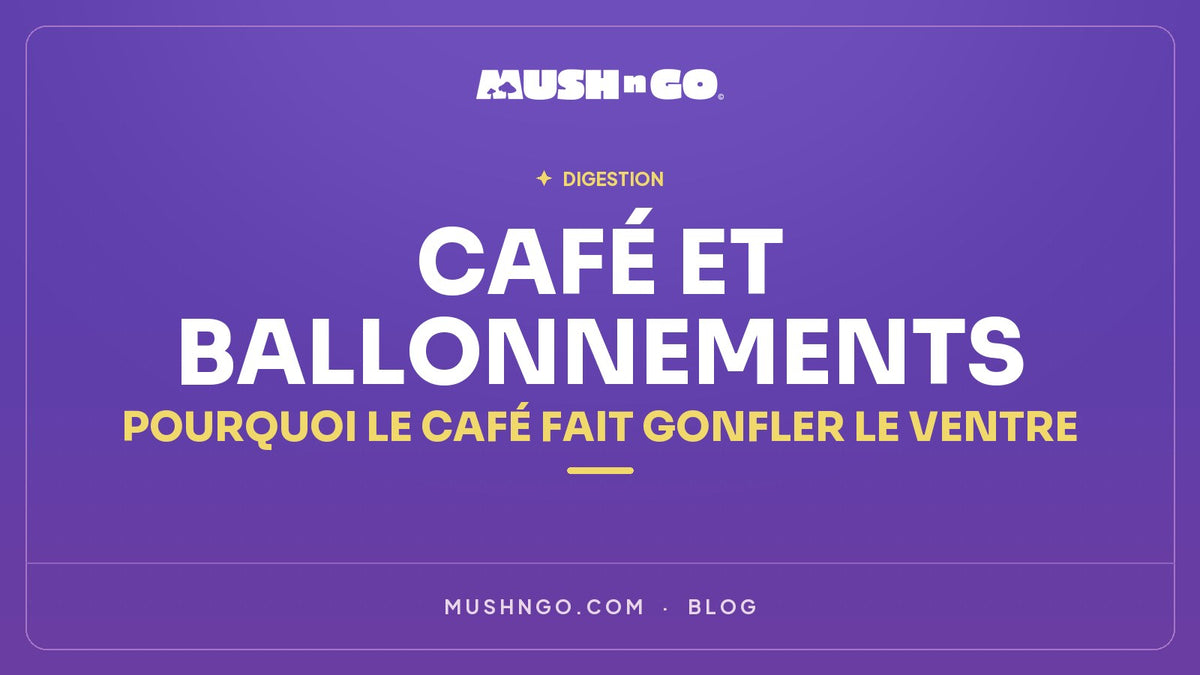 Café et ballonnements : pourquoi le café fait gonfler le ventre et que faire