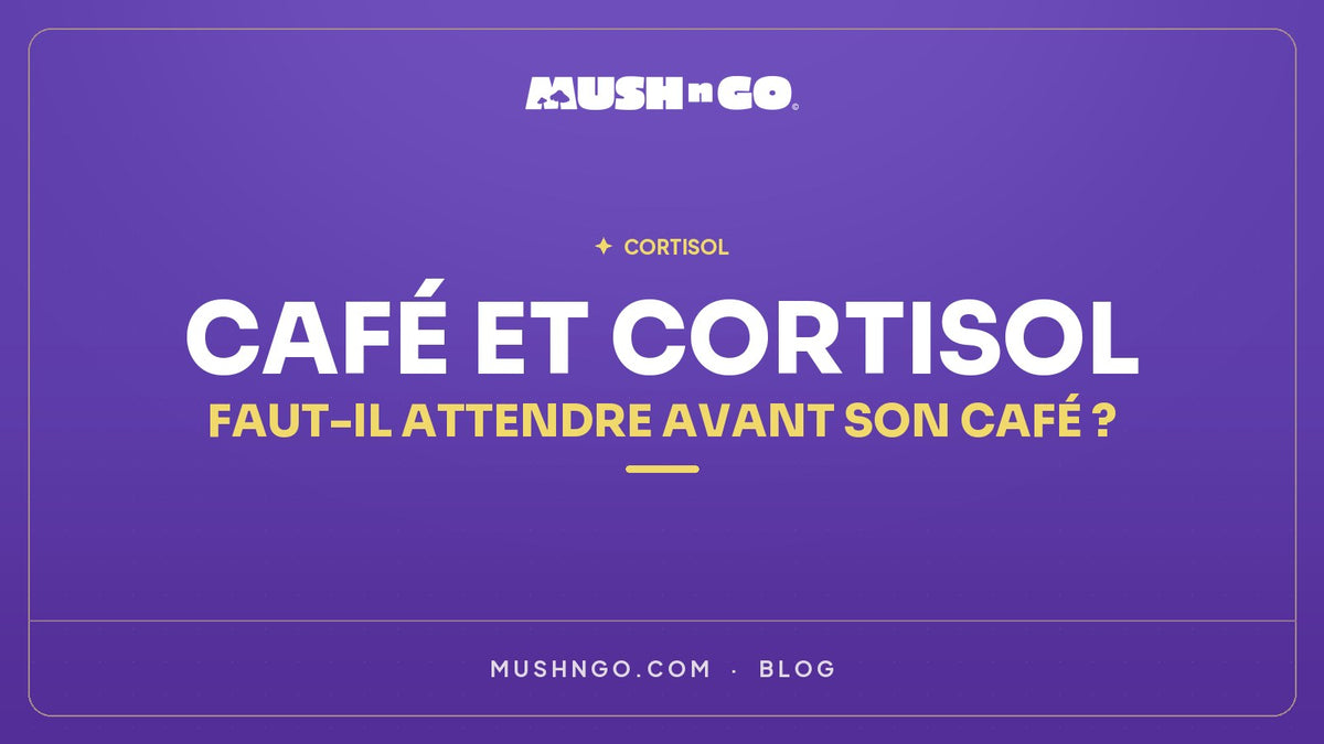 Café et cortisol : faut-il attendre avant son café ?