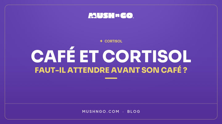 Café et cortisol : faut-il attendre avant son café ?