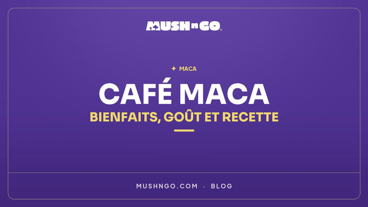 Café maca : bienfaits, goût et recette