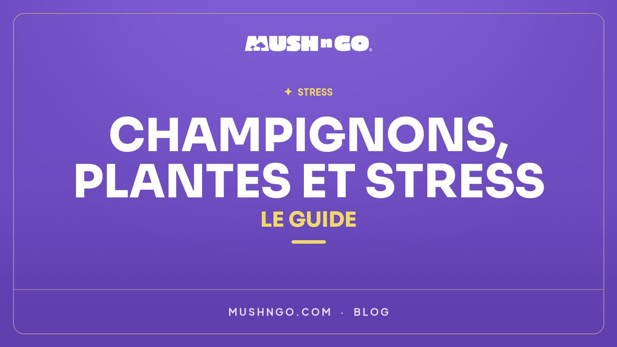 Champignons et plantes adaptogènes et Stress : Le Guide Complet 2026