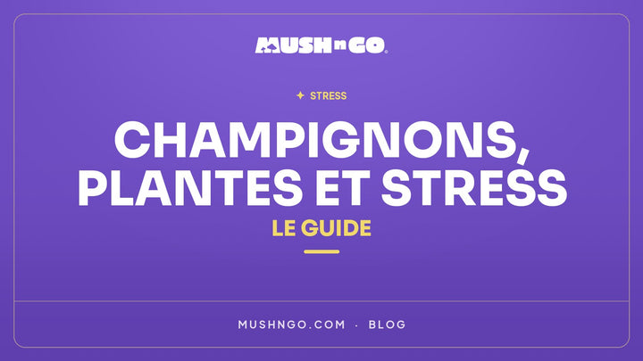 Champignons et plantes adaptogènes et Stress : Le Guide Complet 2026