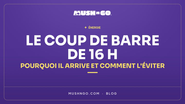Le coup de barre de 16 h : pourquoi il arrive et comment l'éviter