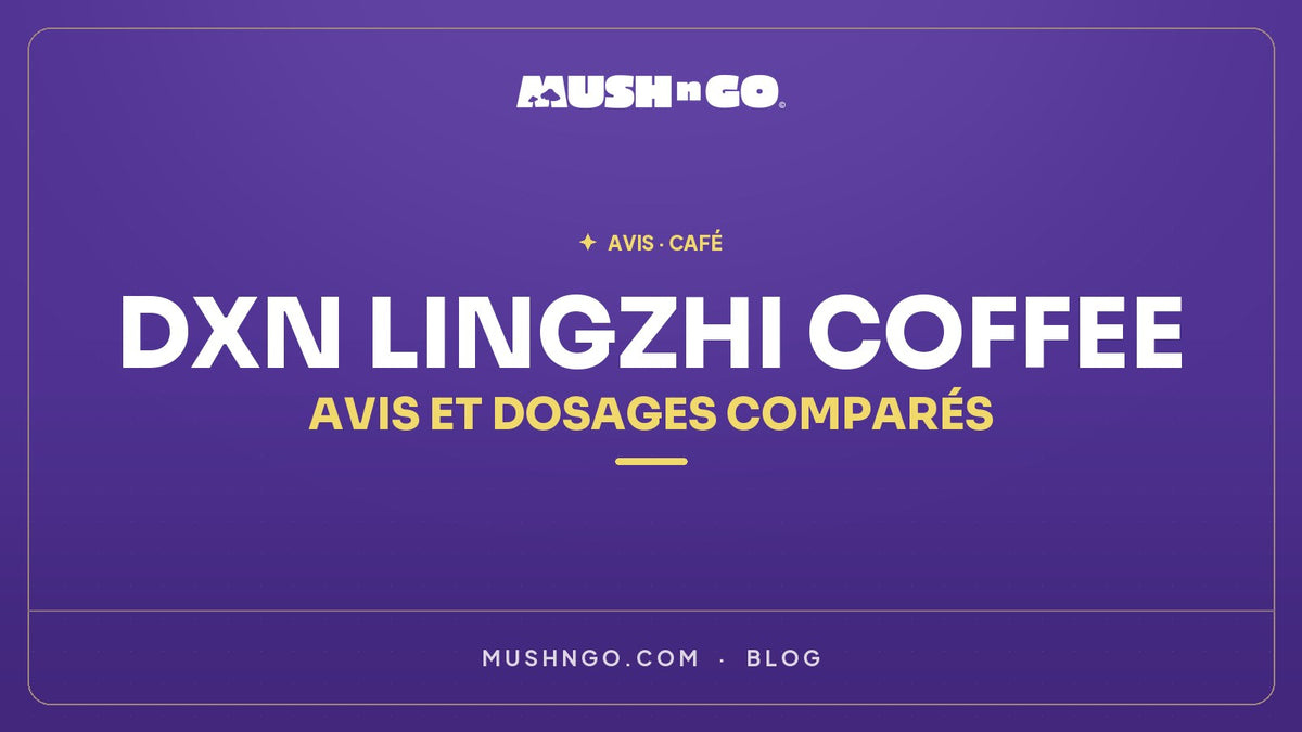 DXN Lingzhi Coffee : avis, composition et dosages comparés
