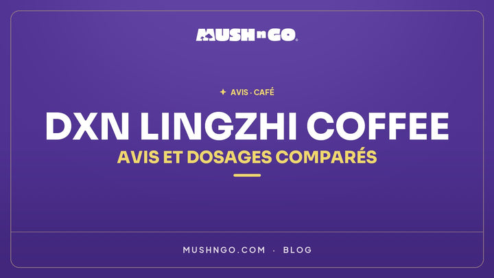 DXN Lingzhi Coffee : avis, composition et dosages comparés