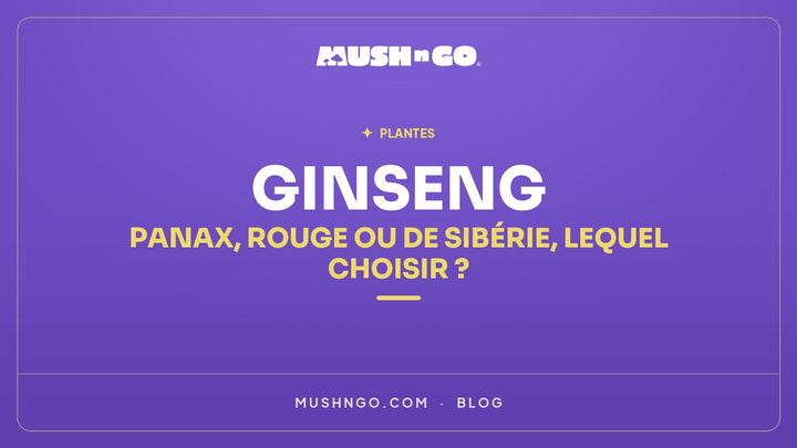 Ginseng: Panax, red or Siberian, which should you choose?