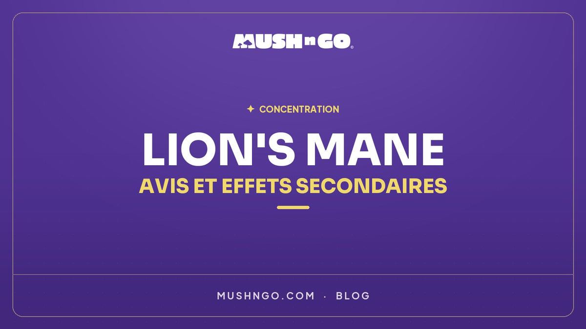Lion's Mane : Avis, Bienfaits et Effets Secondaires - Guide Complet 2026