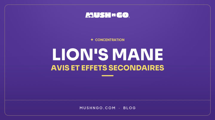 Lion's Mane : Avis, Bienfaits et Effets Secondaires - Guide Complet 2026